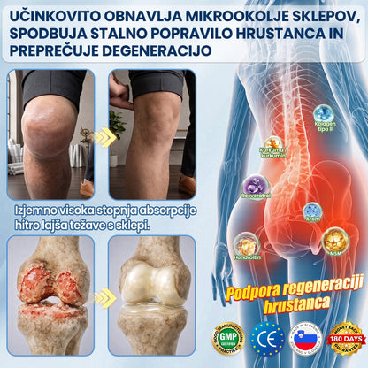𝐀𝗠𝒁𝑲𝗘𝑬𝙋® 𝐌𝗼𝗿𝗶𝗻𝗴𝗮 & 𝐁𝗲𝗿𝗯𝗲𝗿𝗶𝗻 𝟏𝟎-𝘃-𝟏 𝐍𝗮𝗻𝗼 𝐎𝗯𝗹𝗶ž 🇸🇮 | 𝐏𝗼𝗱𝗽𝗼𝗿𝗮 𝗽𝗿𝗲𝘀𝗻𝗼𝘃𝗶 | 𝟏× 𝗱𝗻𝗲𝘃𝗻𝗼